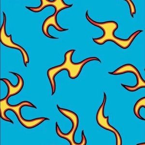 Meet your Posher, Allaina